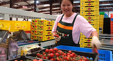 Çin'de özel gıda üretim bölgelerinin sayısı 450'yi aştı