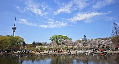 Çin'deki hava kalitesi yılın ilk çeyreğinde iyileşmeye devam etti