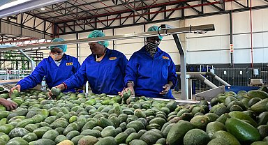 Çin’in Afrika ülkelerine yönelik sıfır gümrük vergisi kapsamı genişliyor