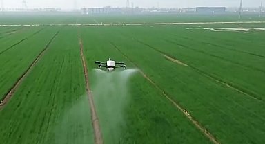 Çin’in tarım ve kırsal ekonomisi yılın ilk çeyreğine güçlü başladı