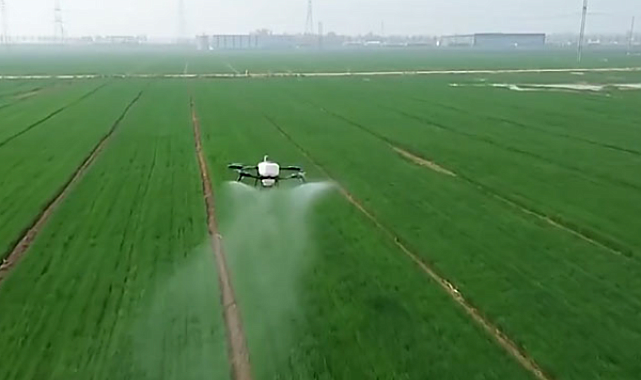 Çin’in tarım ve kırsal ekonomisi yılın ilk çeyreğine güçlü başladı