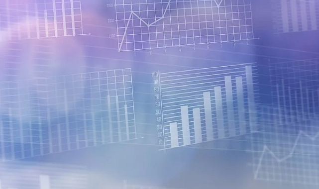 Döviz ppyasalarında sınırlı dalgalanma