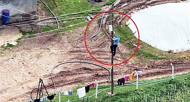 Dronu görünce kaçak hatları iptal etti