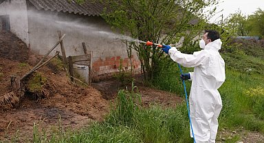 Düzce’de larva ve uçkun ile mücadele çalışmaları sürüyor