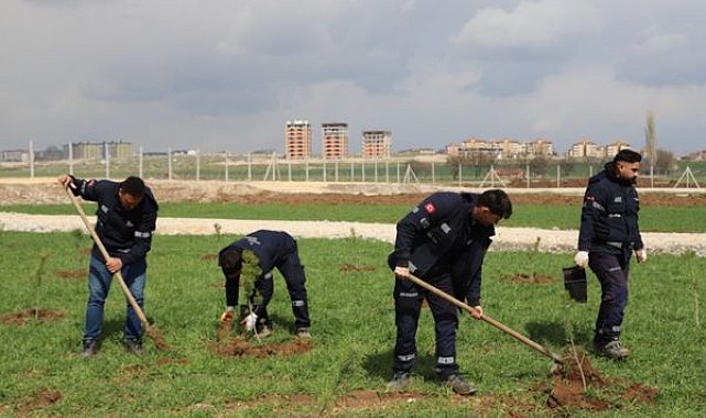 Eskişehir’de evlenen çiftler adına fidan dikiliyor