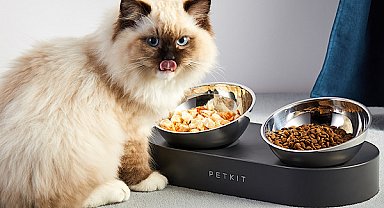 EVOFONE'dan evcil hayvan sahiplerine büyük fırsat!