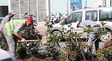 Gazipaşa’da çevre düzenleme ve çiçeklendirme çalışması yapıldı