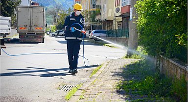 Giresun’da kahverengi kokarcaya karşı ilaçlama başladı