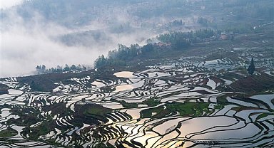Hani tarımsal teraslar alanı, en güzel bahar ekim mevsimine girdi