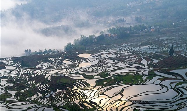 Hani tarımsal teraslar alanı, en güzel bahar ekim mevsimine girdi