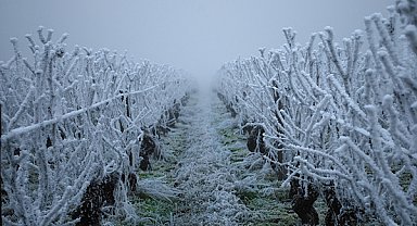 İç ve Doğu kesimler için zirai don uyarısı