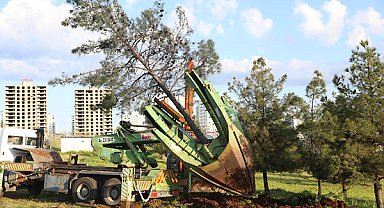 Kayapınar Fırat Bulvarı’nda yenileme çalışmaları başlatıldı
