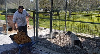 Konyaaltı'nda sokak hayvanları için proje
