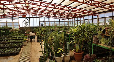 Marmaris'te seralar üretimle 23 milyon TL tasarruf sağladı