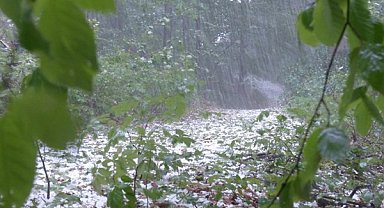 Meteoroloji’den kuvvetli yağış ve çığ tehlikesi uyarısı