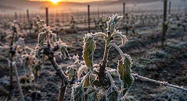 Meteoroloji’den kuvvetli yağış ve zirai don uyarısı