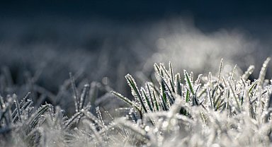 Meteoroloji’den zirai don uyarısı