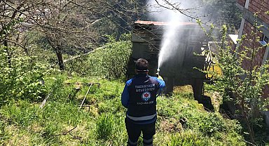 Trabzon'da kahverengi kokarca mücadelesi