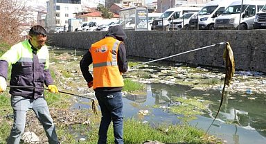 Van’da İnci Kefali göç yolu temizleniyor