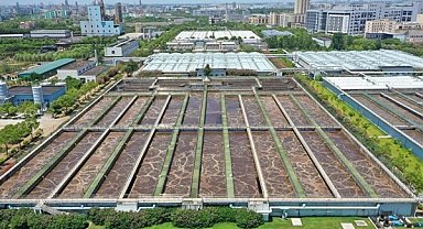 Yeşil dönüşüm büyümenin rakibi değil yeni itici gücü olabilir