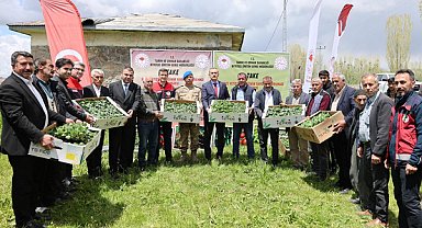 Aşkale Köyü’nde çiftçilere sebze fidesi dağıtıldı