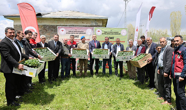 Aşkale Köyü’nde çiftçilere sebze fidesi dağıtıldı