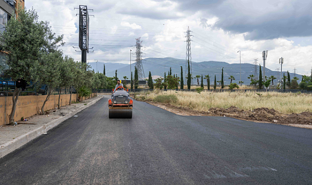Bornova’da 20 sokakta asfalt ve yol yenileme devam ediyor