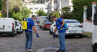 Buca’da ilçe genelinde ilaçlama çalışmaları yürütülüyor