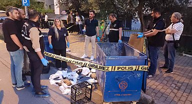 Buca'da konteynerde bulunan hayvan ölüleriyle ilgili inceleme