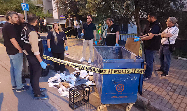 Buca'da konteynerde bulunan hayvan ölüleriyle ilgili inceleme