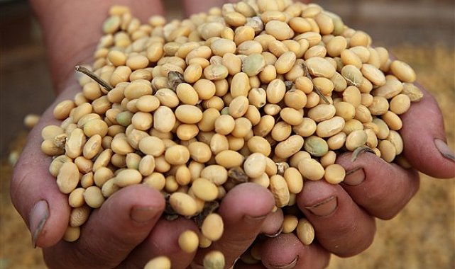 Çin: ABD ile tarım ticareti için elverişli koşullar oluşturulmalı