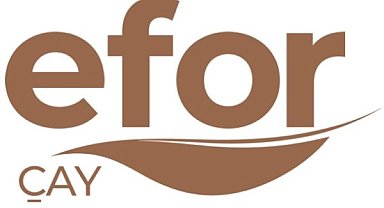 Efor Yatırım'dan SPK başvurusu
