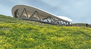 Göbeklitepe baharla yeşile büründü
