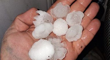 Güneydoğu’da dolu ve rüzgar çiftçiyi vurdu