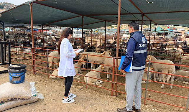 Kepez'de kurban satış ve kesim alanları denetlendi