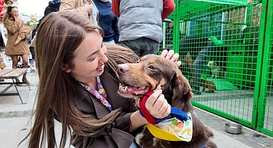 Konak’ta 11 kedi ve köpek sahiplendirildi