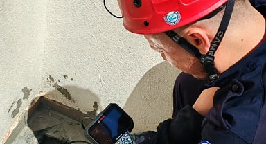 Mahsur kalan yavru kediler kurtarıldı