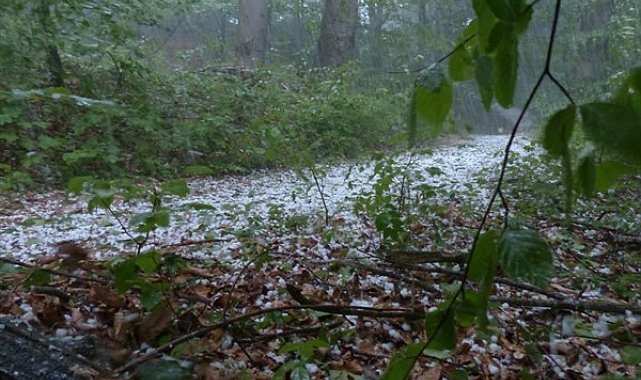 Meteoroloji’den kuvvetli yağış uyarısı