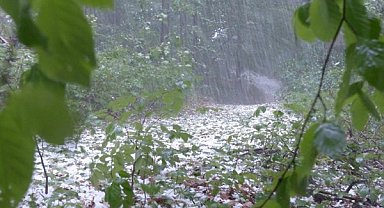 Meteoroloji’den kuvvetli yağış ve rüzgar uyarısı