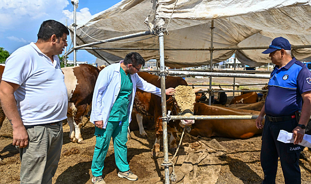 Muratpaşa’da Kurban Bayramı hazırlıkları tamamlandı
