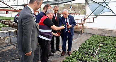 Ordu'da 300 bin yazlık sebze fidesi desteği