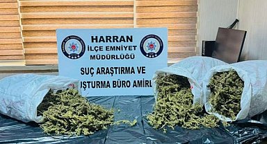 Şanlıurfa’da 8 kilodan fazla esrar ele geçirildi