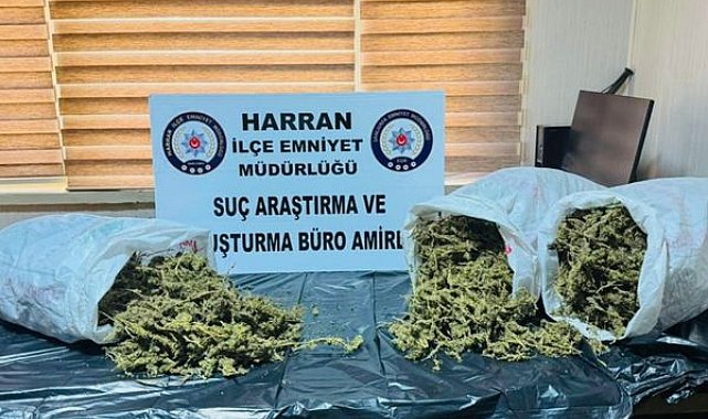 Şanlıurfa’da 8 kilodan fazla esrar ele geçirildi
