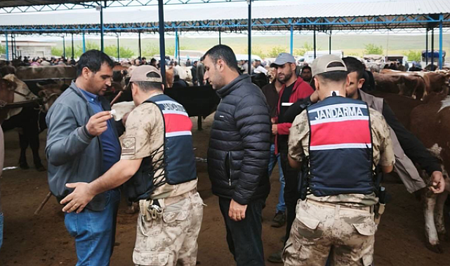Şanlıurfa’da hayvan pazarlarında bayram tedbirleri artırıldı