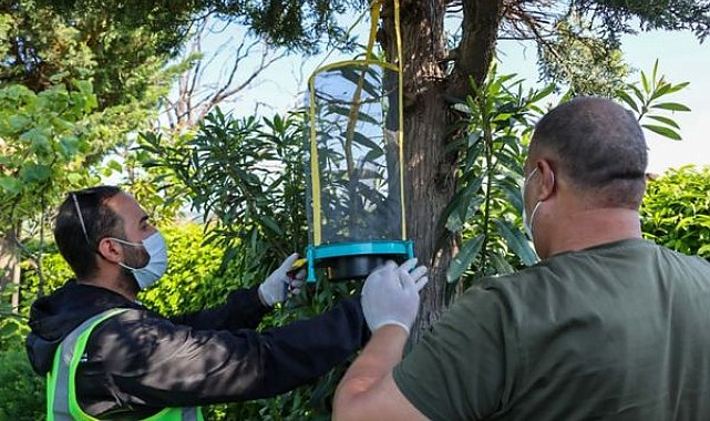 Yalova Belediyesi’nden Kurban Bayramı öncesi ilaçlama çalışması