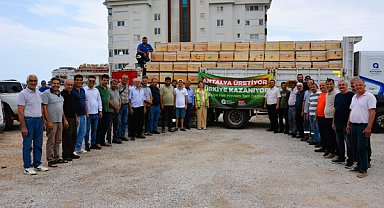 Antalya'da arıcılığa destek: 849 kovan üreticilere hibe edildi