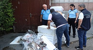 Antalya Otogarı’nda 260 kilo kaçak ve uygunsuz balığa el konuldu