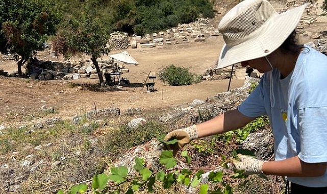 Aspendos'ta antik dönem bağcılığının izleri