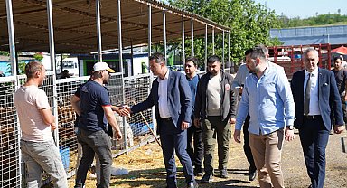 Çorlu Belediye Başkanı Sarıkurt, kurban pazarı ve mezbahayı ziyaret etti