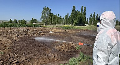 Çorum'da vektörel mücadele ve temizlik çalışması yapıldı